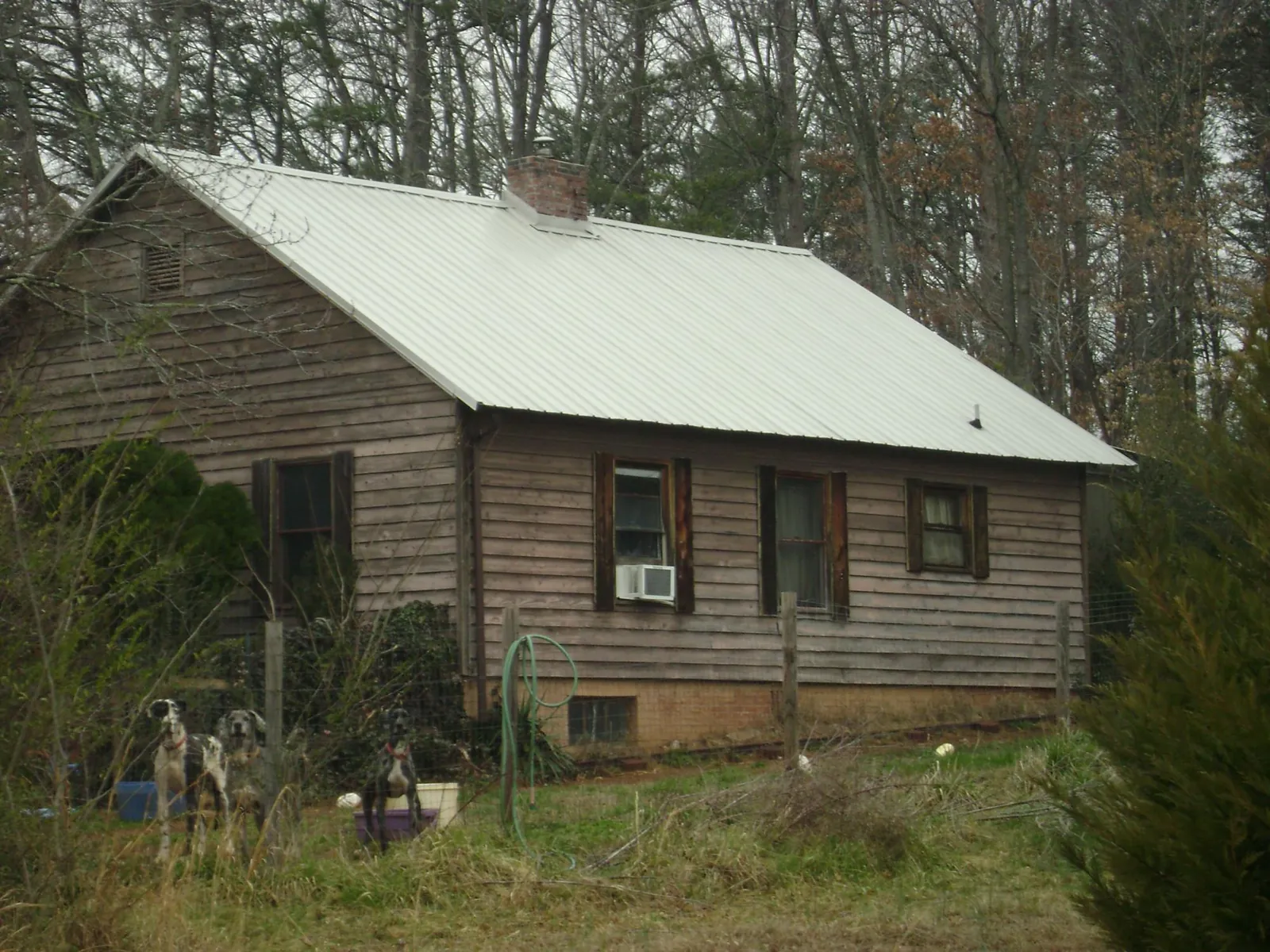 White metal roof on an old wood sided farmhouse, from a Metal Roof Installation job in Government Camp